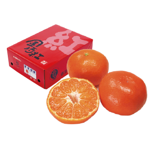 金時紅（小原紅早生）化粧箱