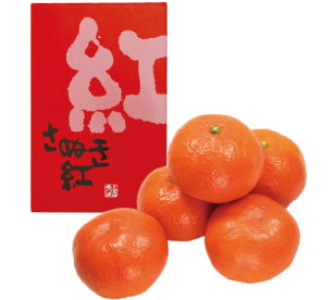さぬき紅(小原紅早生)ハウスみかん