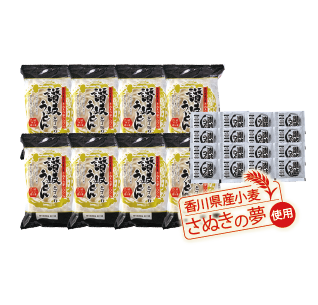 冷凍讃岐うどん（つゆ付）