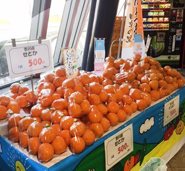 せとか